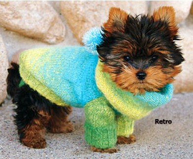KNITTED yorkie